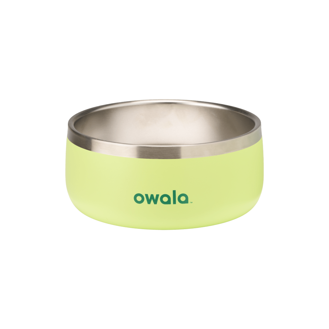 Owala Pet Bowl 3-cup size in bright lime/chartreuse green