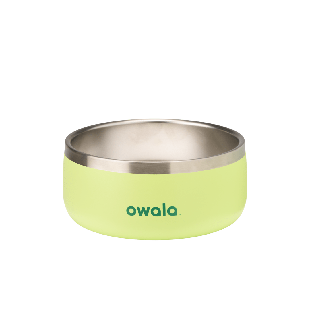 Pet Bowl 3-cup in Sweet Treat; matte lime green cup exterior with stainless steel interior rim and dark green Owala logo on front