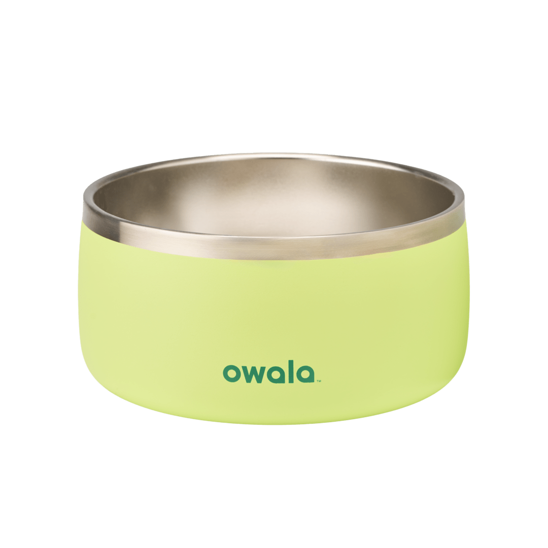 Pet Bowl 6-cup, lime green exterior with stainless steel interior; wider bowl
