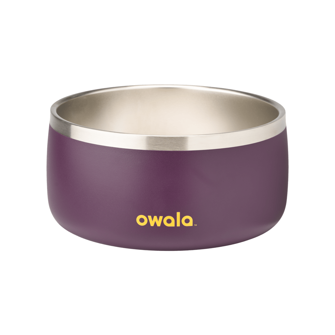 Owala Pet Bowl 6-cup in deep purple with stainless steel interior and yellow Owala wordmark, slightly wider crop