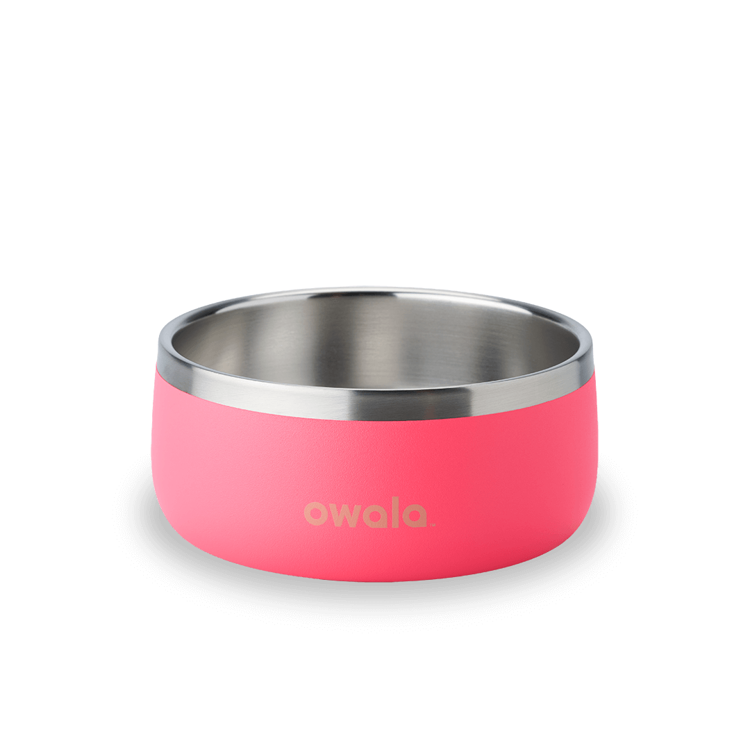 Pet Bowl 24oz Hyper Flamingo