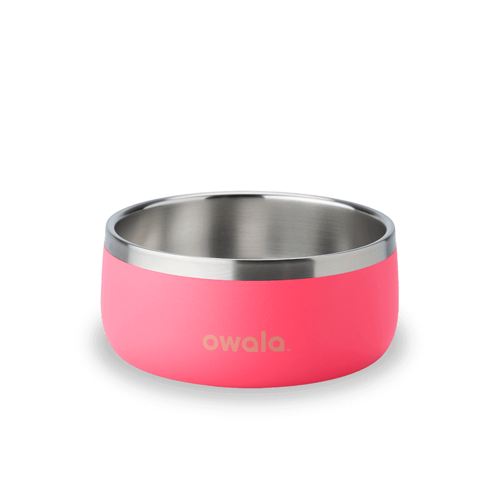 Pet Bowl 3-cup in Hyper Flamingo; matte hot pink cup exterior with stainless steel interior rim and tan Owala logo on front