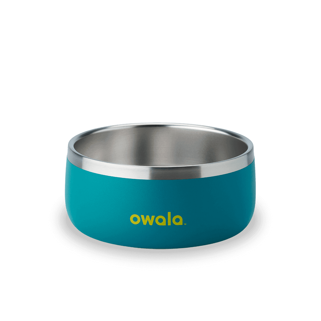Pet Bowl 3-cup in Turquoise and Caicos; matte teal cup exterior with stainless steel interior rim and yellow Owala logo on front
