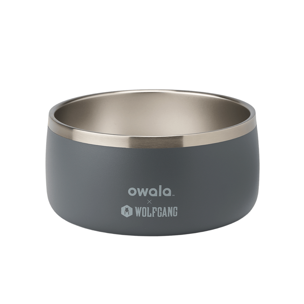 Owala x Wolfgang Pet Bowl in medium gray with stainless steel interior